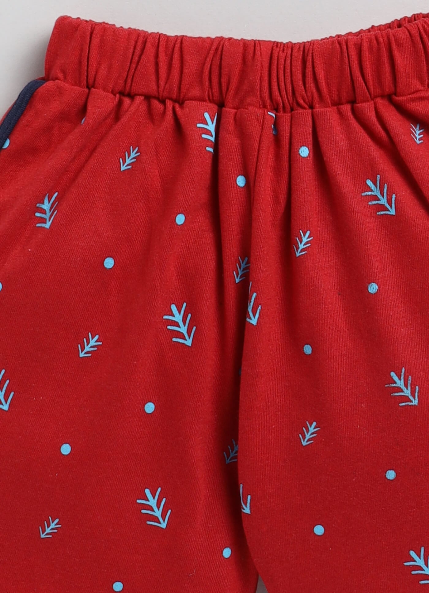 Boys' Printed Cotton T-Shirts and Shorts Set