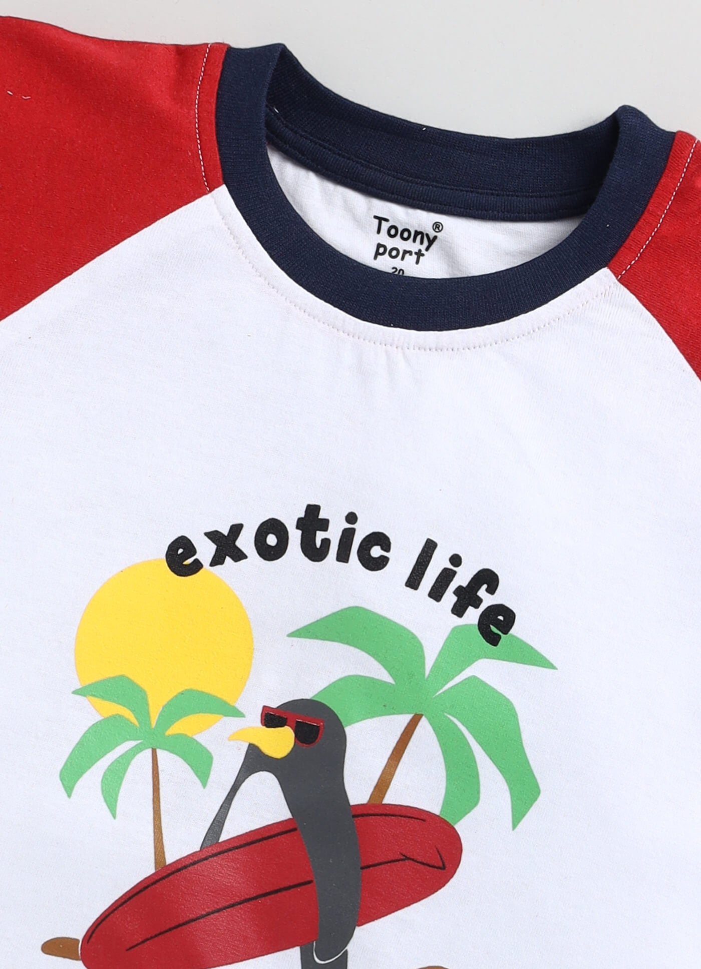 Boys' Printed Cotton T-Shirts and Shorts Set