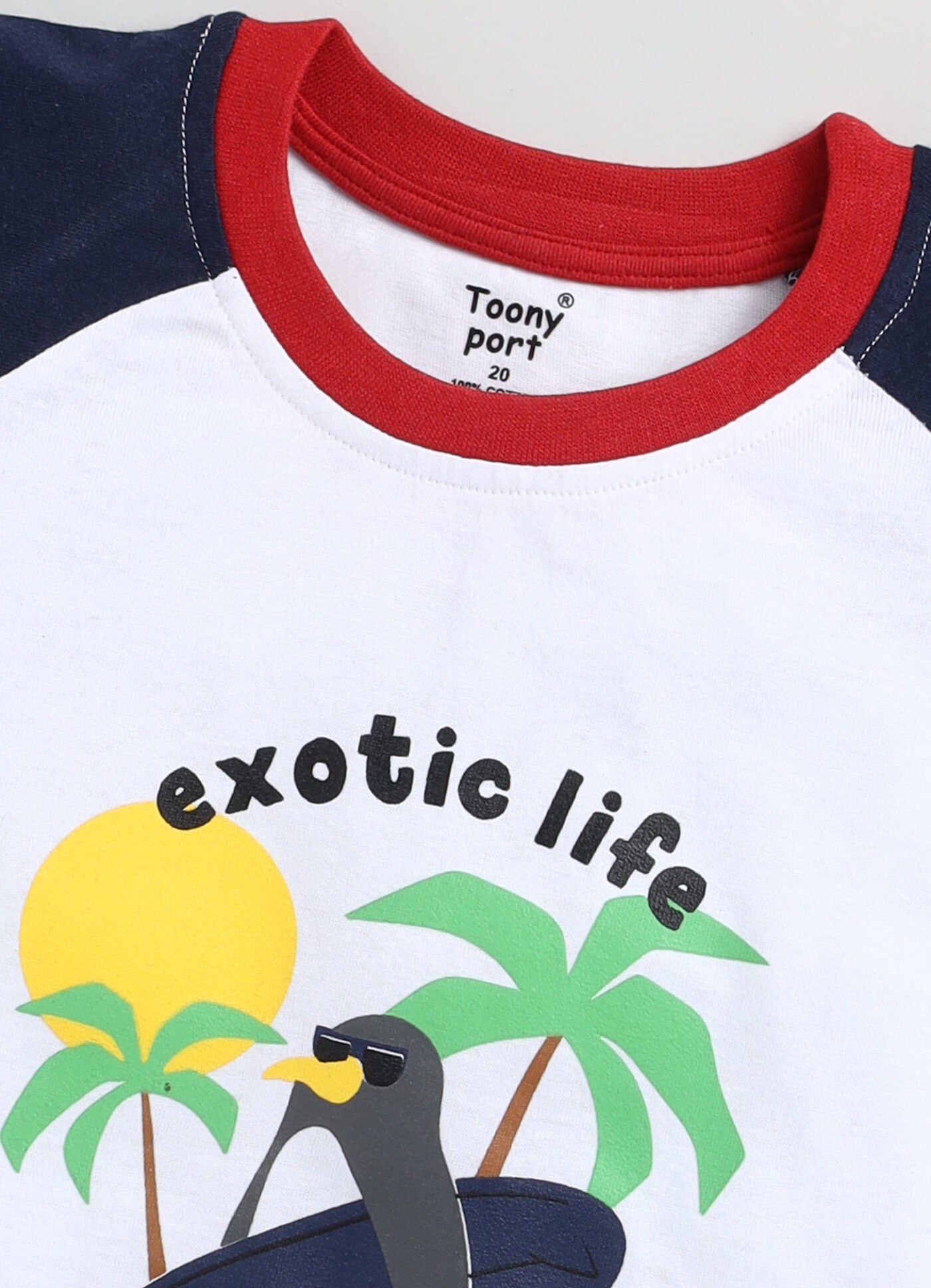 Boys' Printed Cotton T-Shirts and Shorts Set