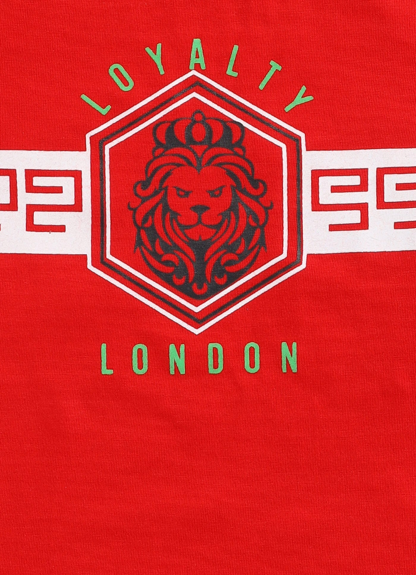 Toonyport Lion Cotton T-Shirt & Shorts Summer Set For Boys